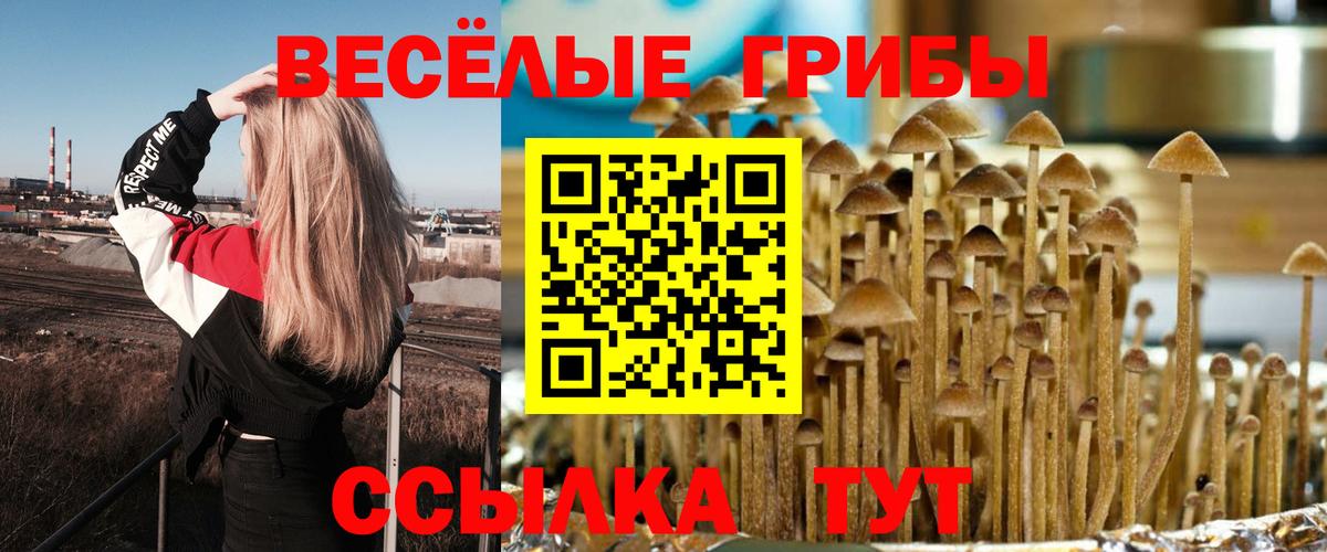 Псилоцибиновые грибы MAGIC MUSHROOMS  Вход с VPN  Ахтубинск  Псилоцибиновые грибы прущие грибы 