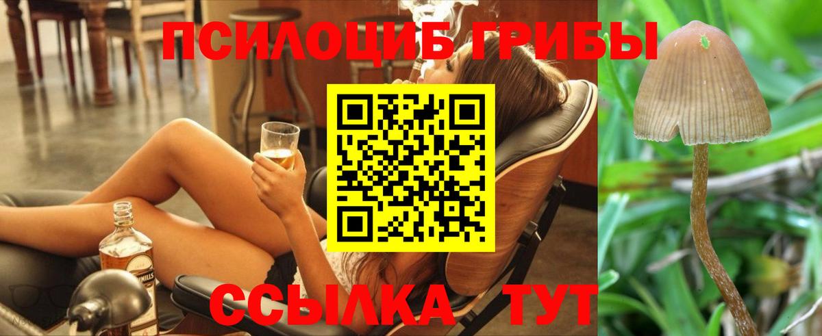 Галлюциногенные грибы мухоморы Ахтубинск