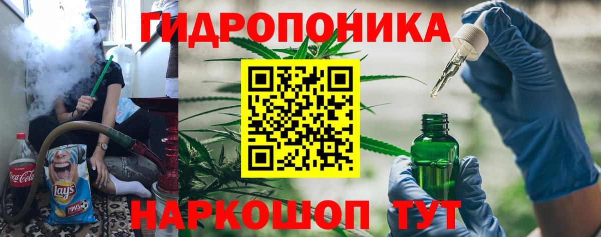 Ахтубинск  Конопля план  Марихуана ГИДРОПОН  Канабис конопля  Вход с VPN  Бошки марихуана OG Kush 